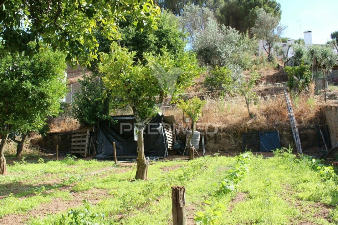 Terreno para Venda em Redondo Foto 10