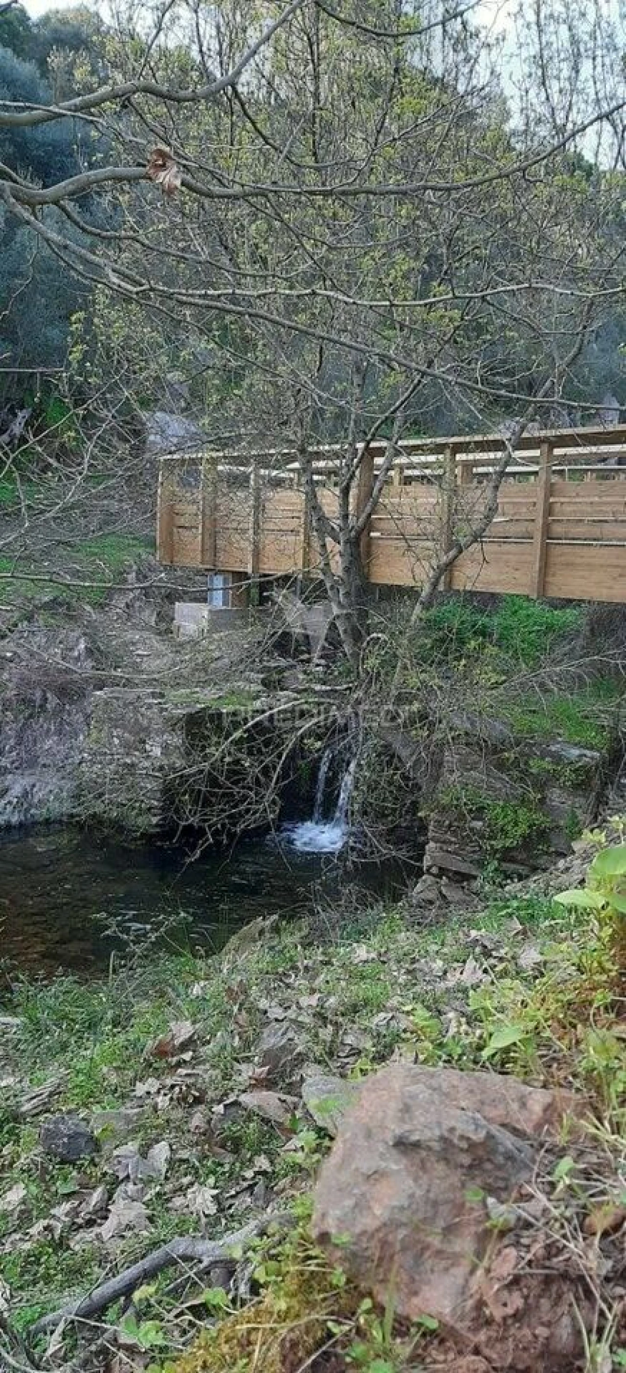 Terreno para Venda em Redondo Foto 29