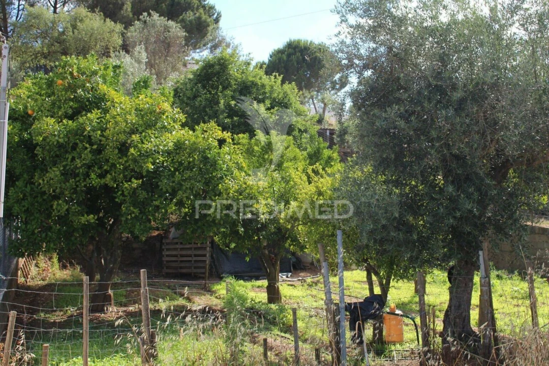 Terreno para Venda em Redondo Foto 3