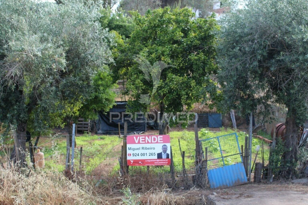 Terreno para Venda em Redondo Foto 4