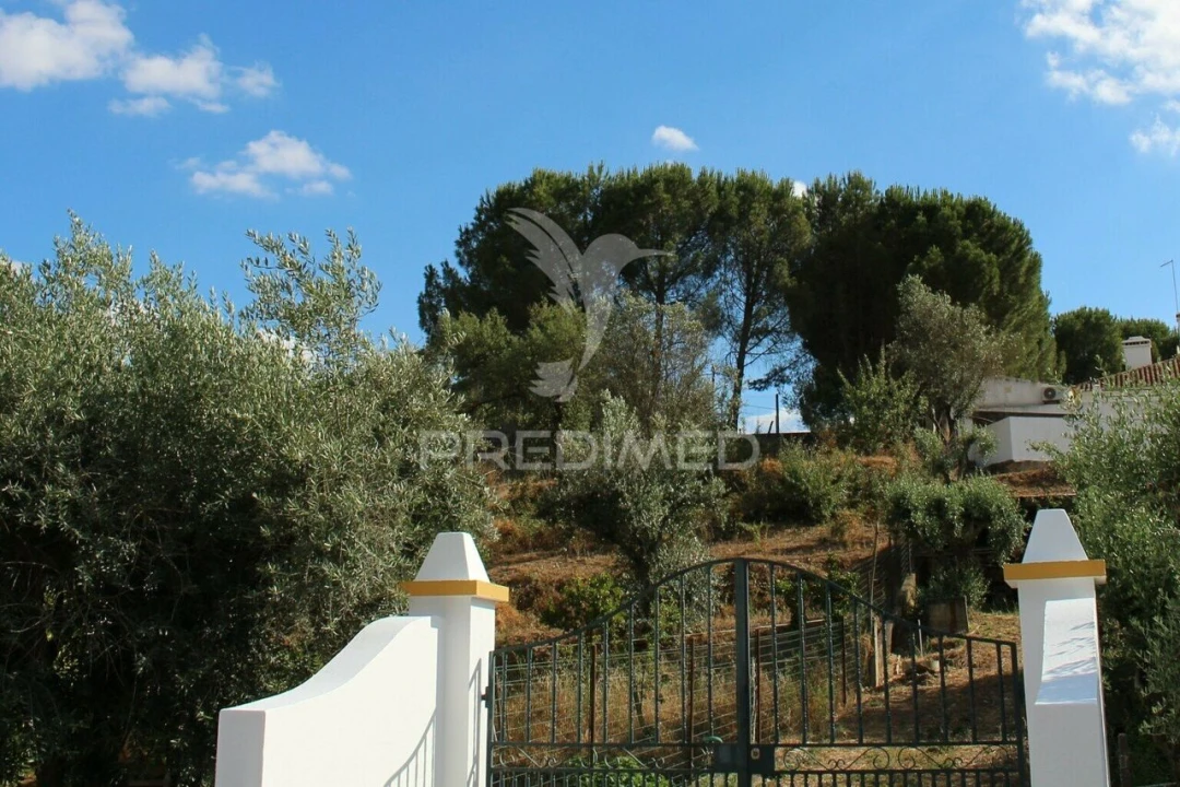 Terreno para Venda em Redondo Foto 1