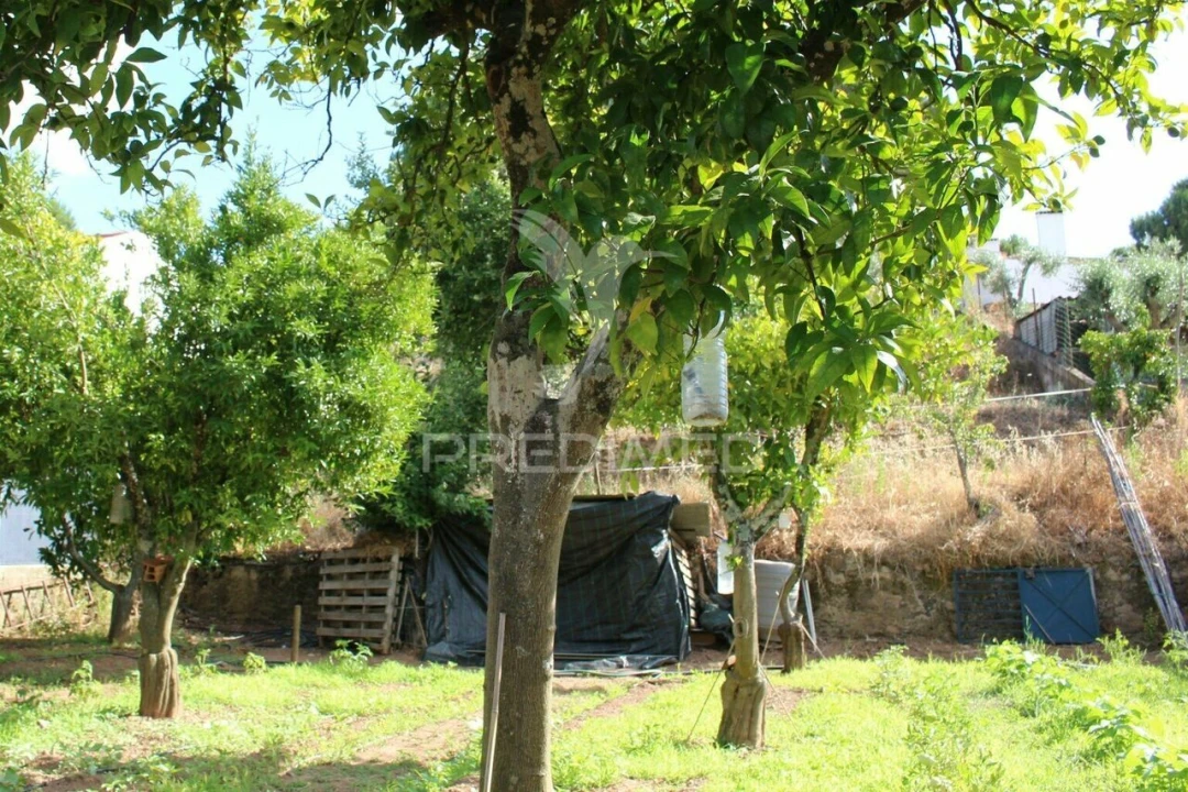 Terreno para Venda em Redondo Foto 14