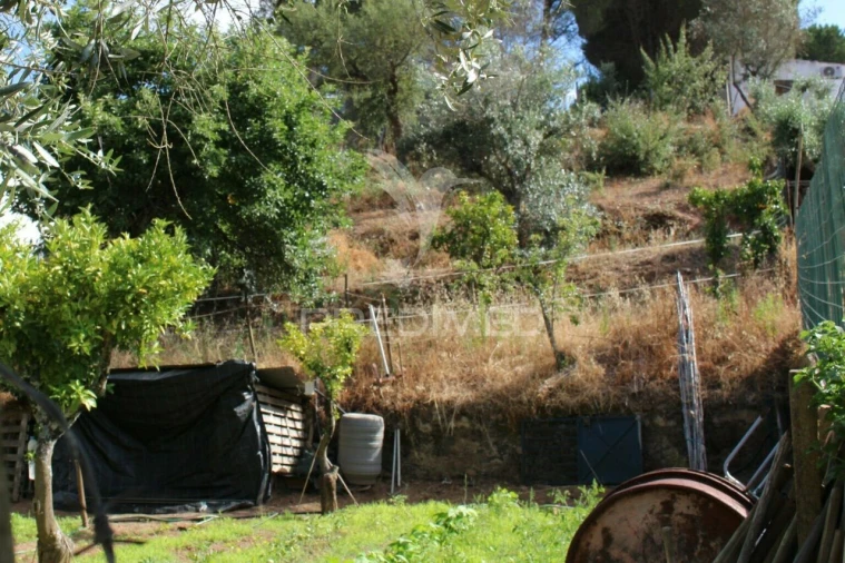 Terreno para Venda em Redondo Foto 9