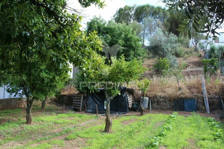 Terreno para Venda em Redondo Foto 2
