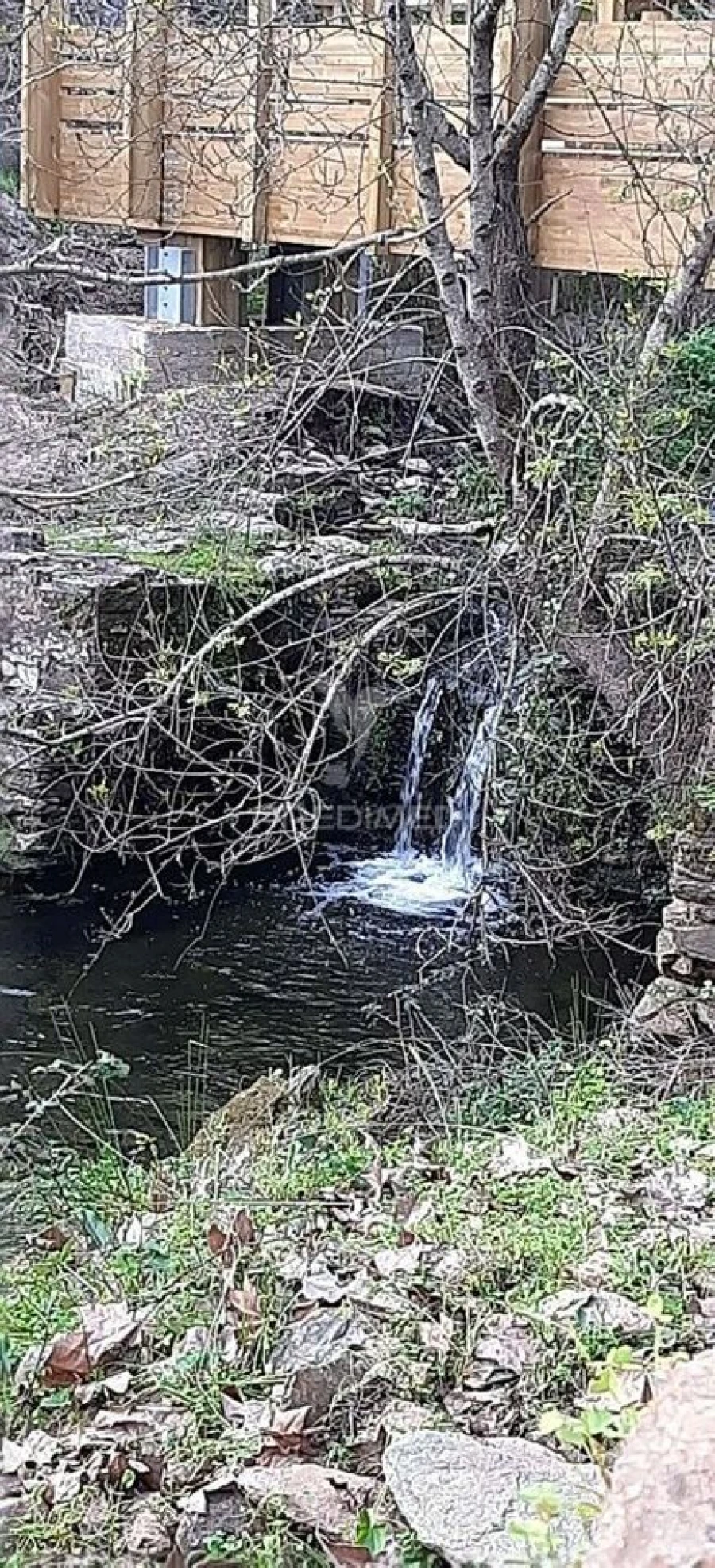 Terreno para Venda em Redondo Foto 25