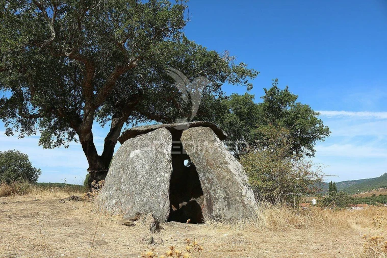 Terreno para Venda em Redondo Foto 24