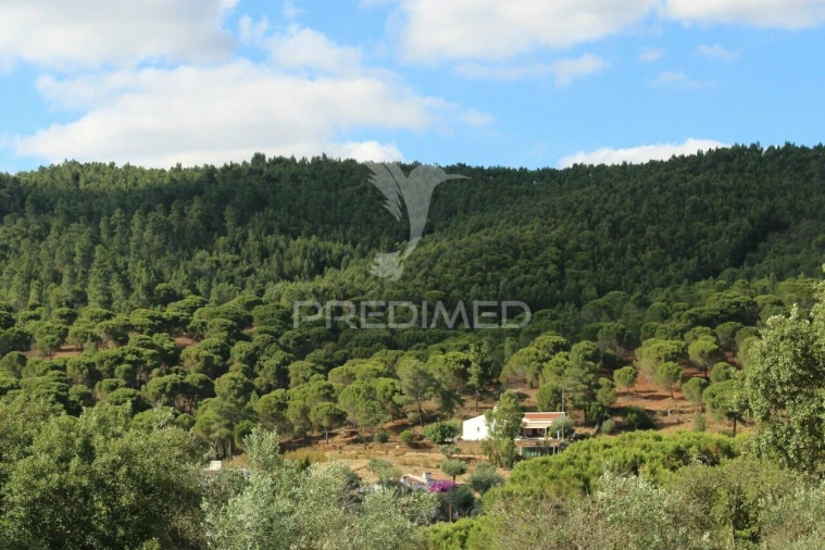 Terreno para Venda em Redondo Foto 19