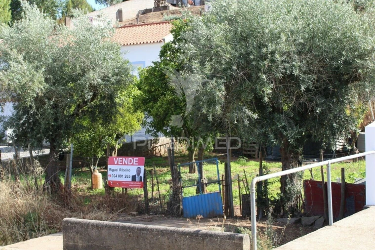 Terreno para Venda em Redondo Foto 12