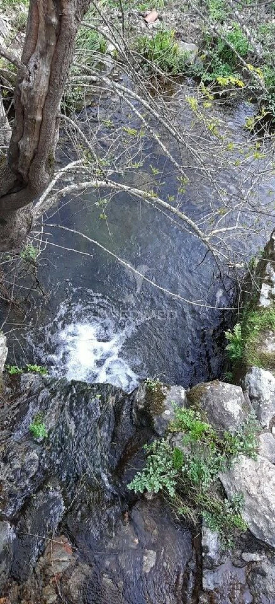 Terreno para Venda em Redondo Foto 27