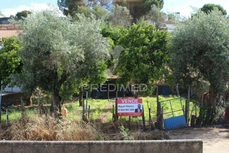 Terreno para Venda em Redondo Foto 7