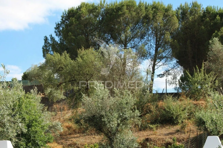 Terreno para Venda em Redondo Foto 11