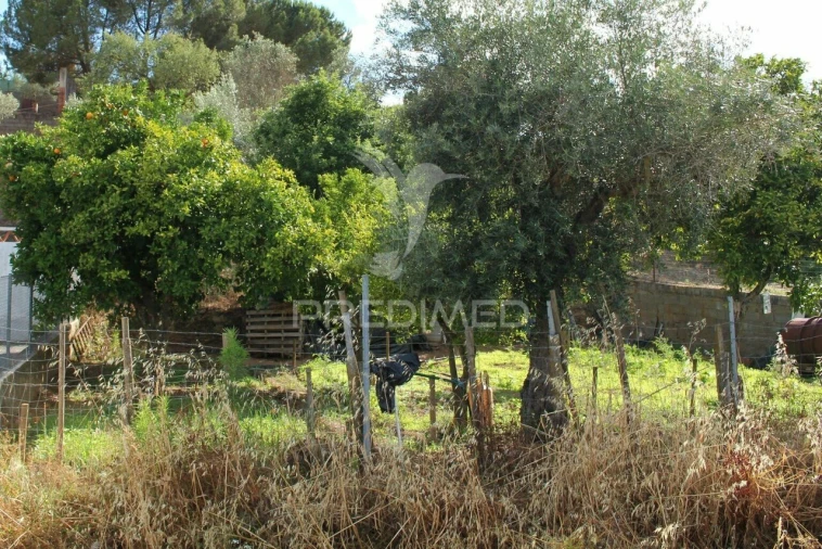Terreno para Venda em Redondo Foto 18