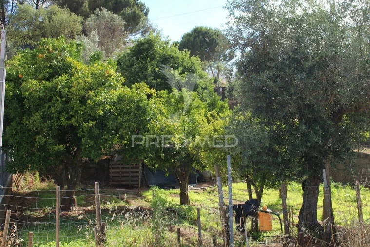 Terreno para Venda em Redondo Foto 3