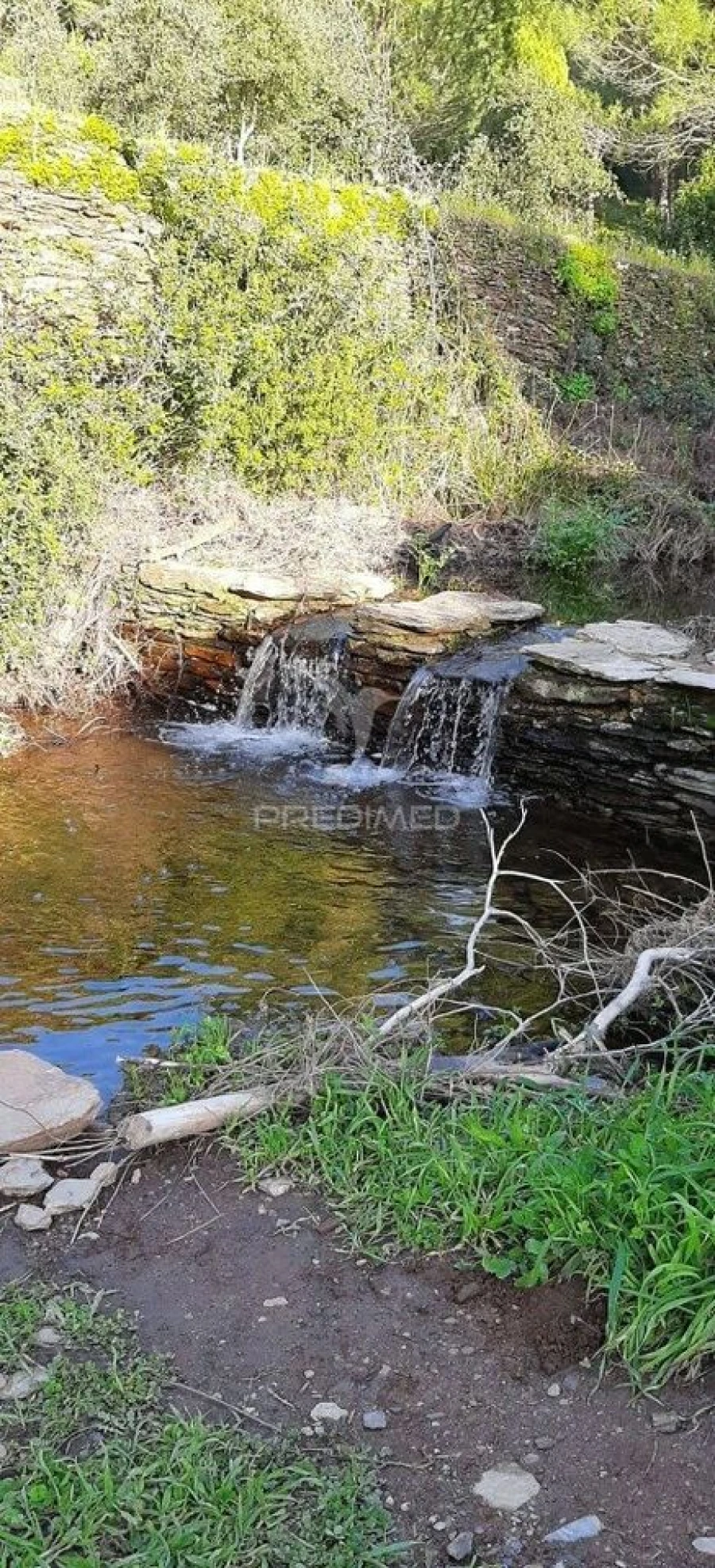 Terreno para Venda em Redondo Foto 26