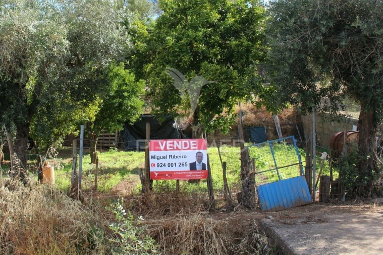 Terreno para Venda em Redondo Foto 17
