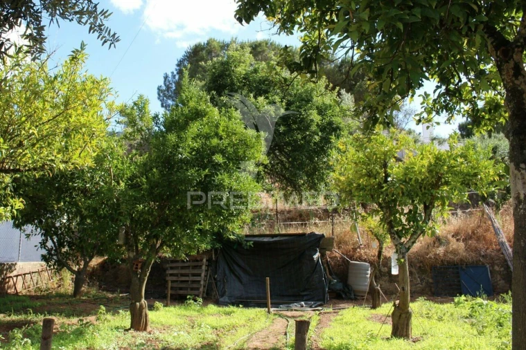 Terreno para Venda em Redondo Foto 13