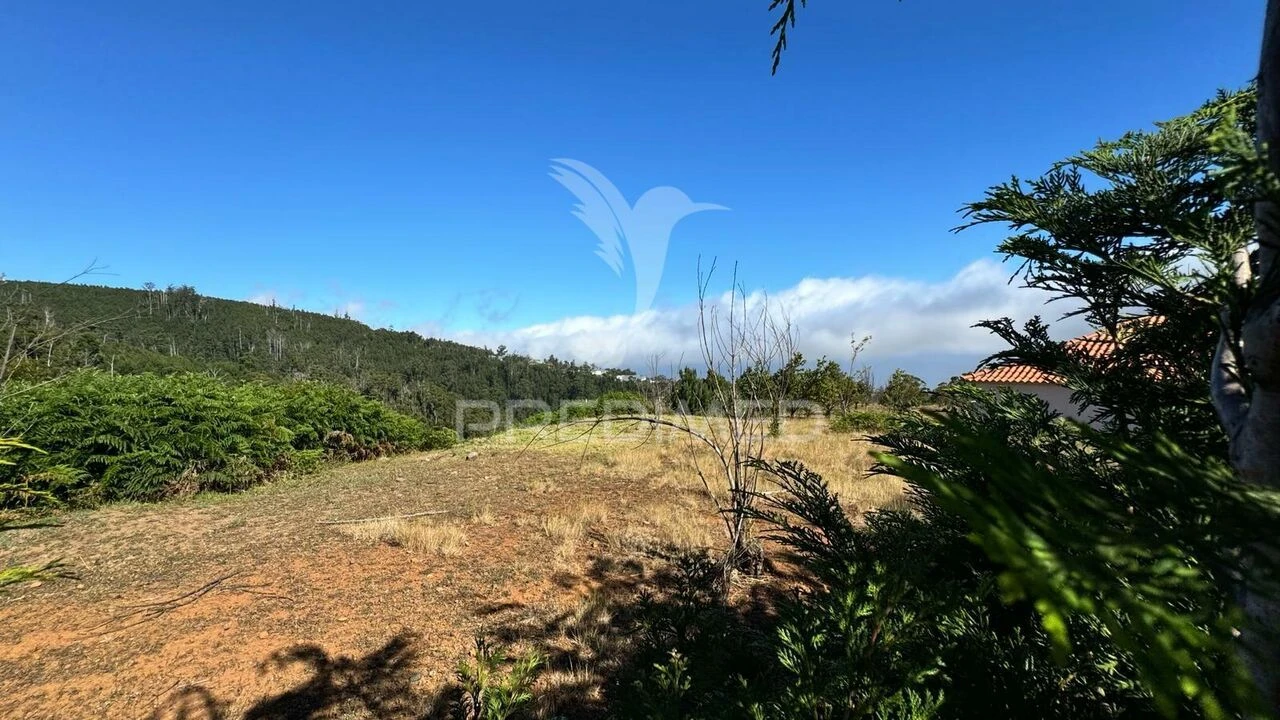 Terreno para Venda em Prazeres Foto 17