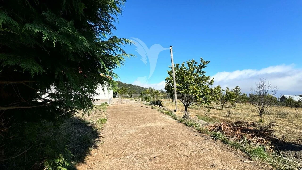 Terreno para Venda em Prazeres Foto 16