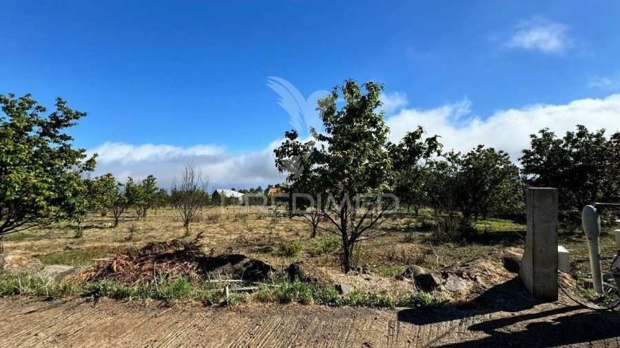 Terreno para Venda em Prazeres Foto 18