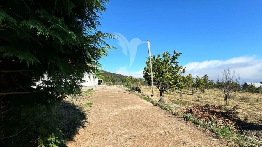 Terreno para Venda em Prazeres Foto 16