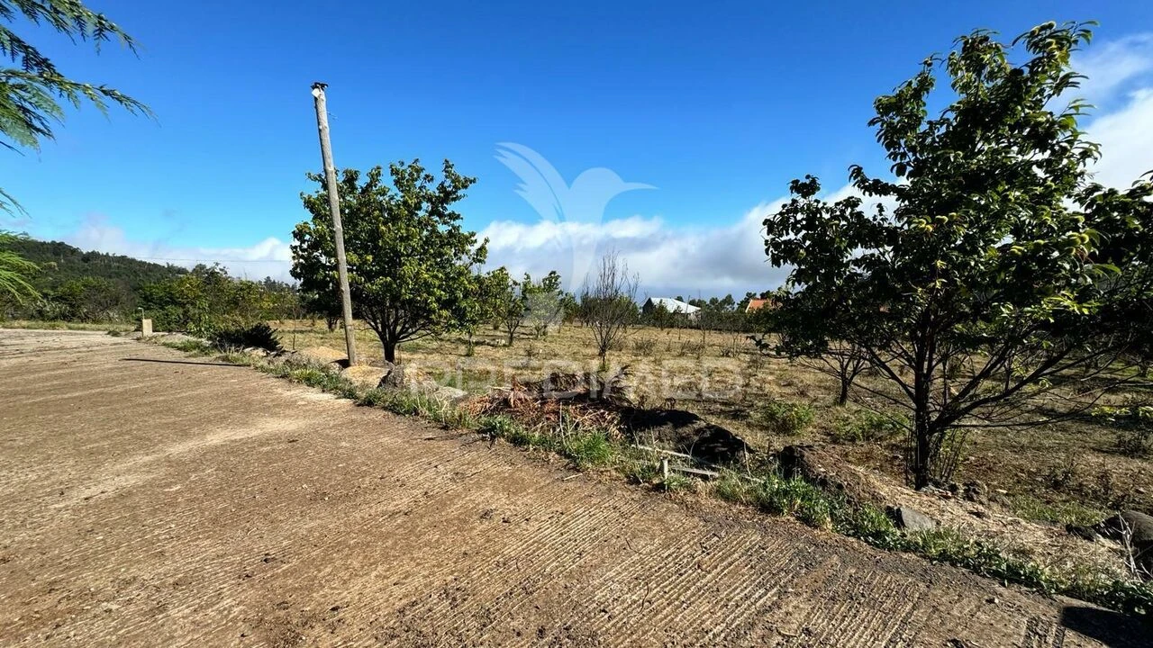 Terreno para Venda em Prazeres Foto 15