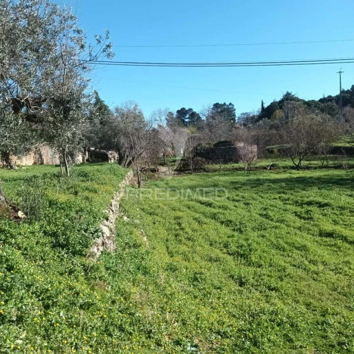 Quinta T3 para Venda em Santa Maria da Devesa Foto 15