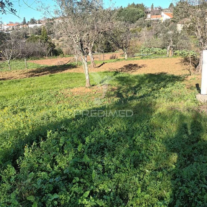 Quinta T3 para Venda em Santa Maria da Devesa Foto 2