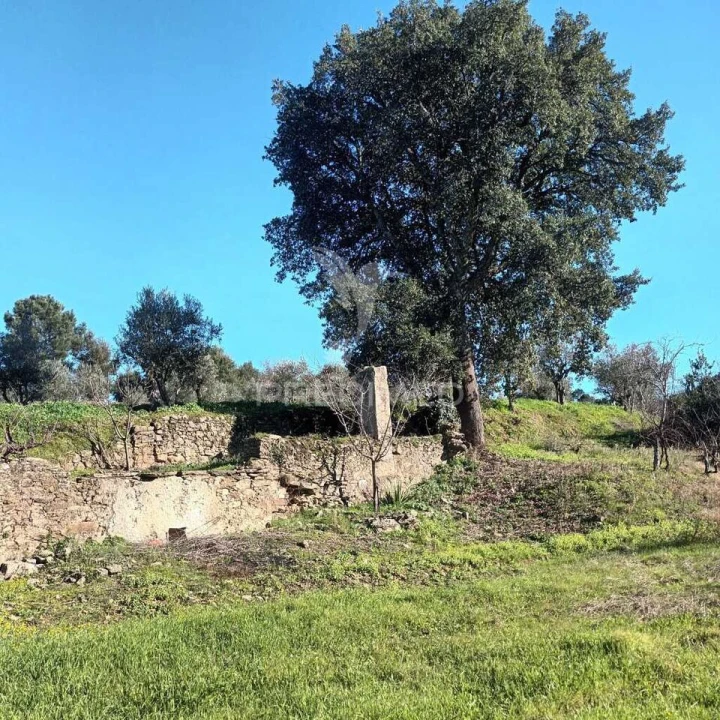 Quinta T3 para Venda em Santa Maria da Devesa Foto 13