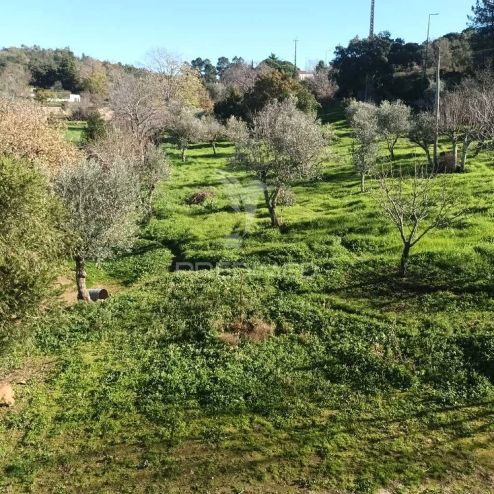 Quinta T3 para Venda em Santa Maria da Devesa Foto 7