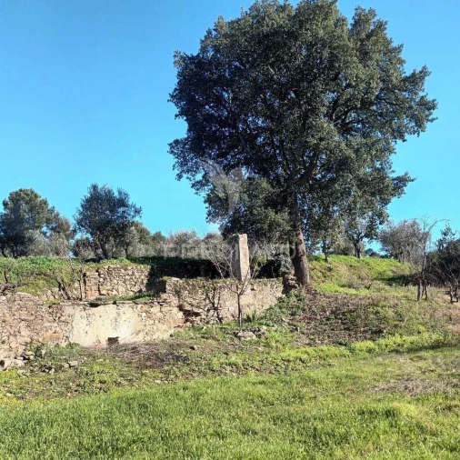 Quinta T3 para Venda em Santa Maria da Devesa Foto 13