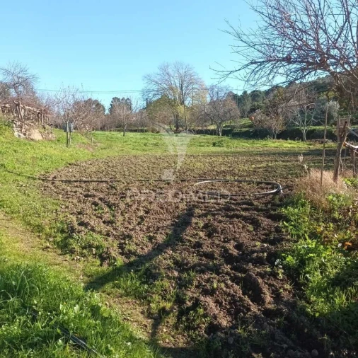 Quinta T3 para Venda em Santa Maria da Devesa Foto 8