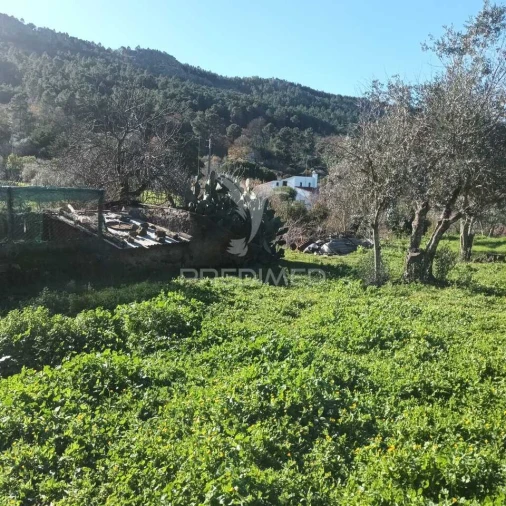 Quinta T3 para Venda em Santa Maria da Devesa Foto 18