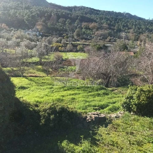 Quinta T3 para Venda em Santa Maria da Devesa Foto 14