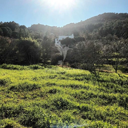 Quinta T3 para Venda em Santa Maria da Devesa Foto 11