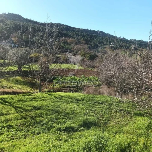 Quinta T3 para Venda em Santa Maria da Devesa Foto 9