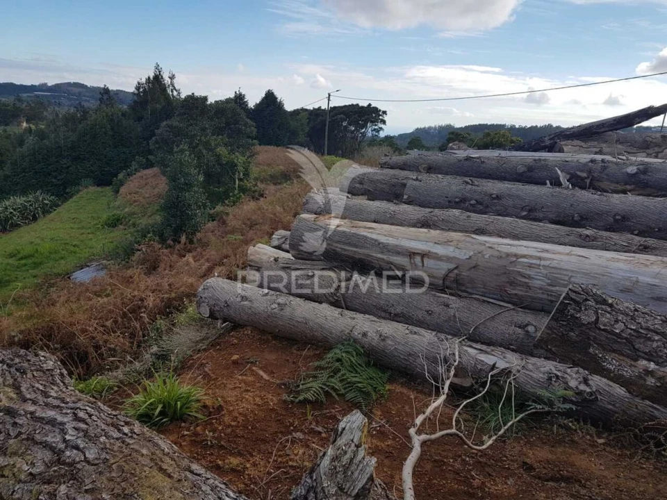 Terreno para Venda em Santo Antonio da Serra Foto 10