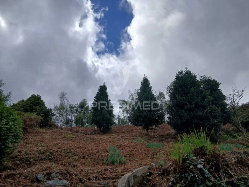Terreno para Venda em Santo Antonio da Serra Foto 4