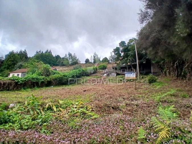 Terreno para Venda em Santo Antonio da Serra Foto 6
