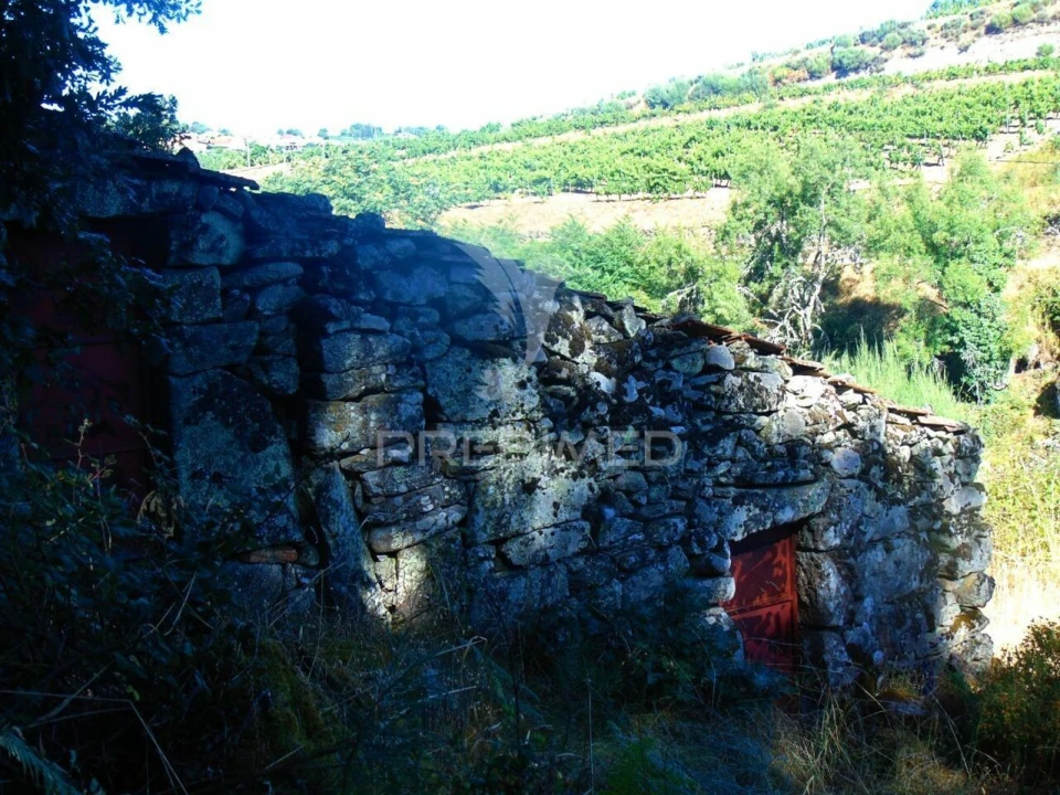 Terreno para Venda em Vilar de Maçada Foto 23