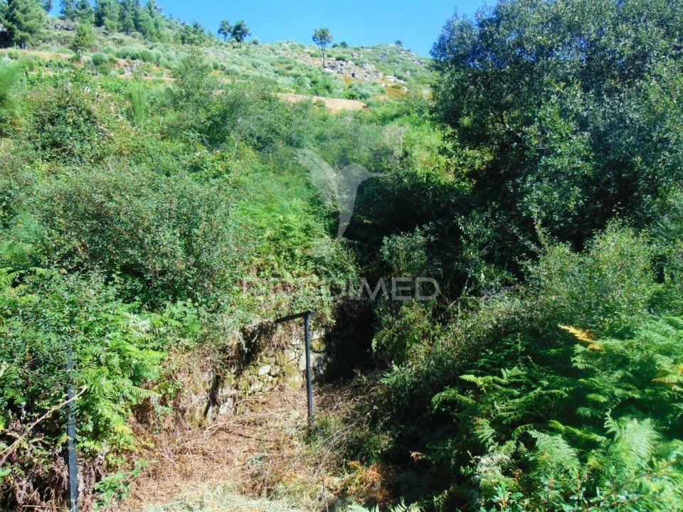 Terreno para Venda em Vilar de Maçada Foto 4