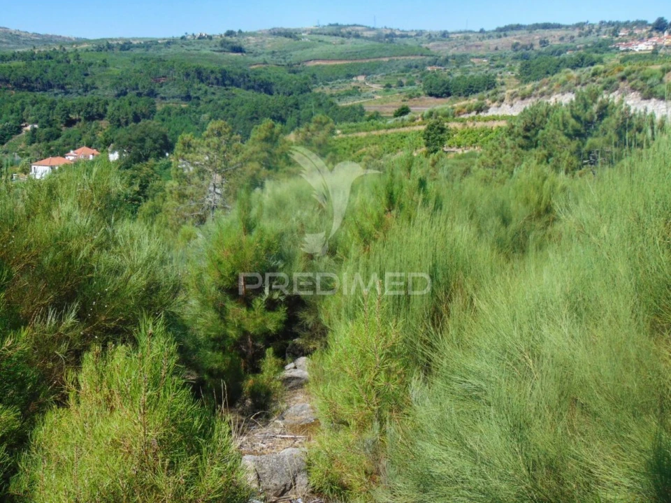 Terreno para Venda em Vilar de Maçada Foto 12