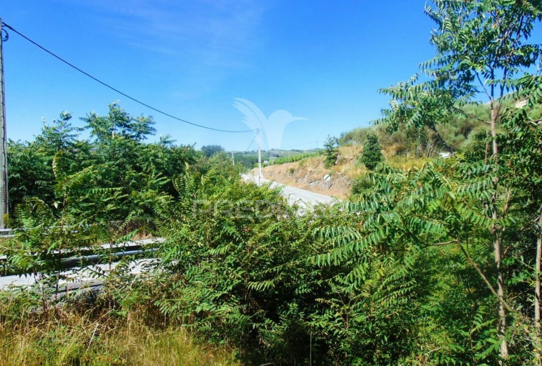 Terreno para Venda em Vilar de Maçada Foto 15