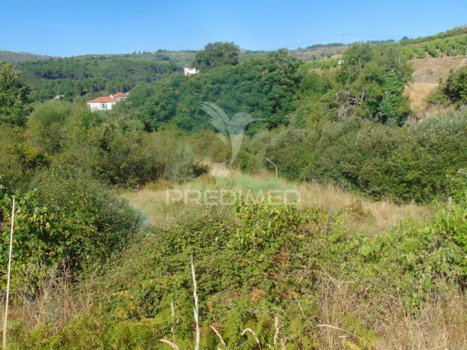 Terreno para Venda em Vilar de Maçada Foto 21