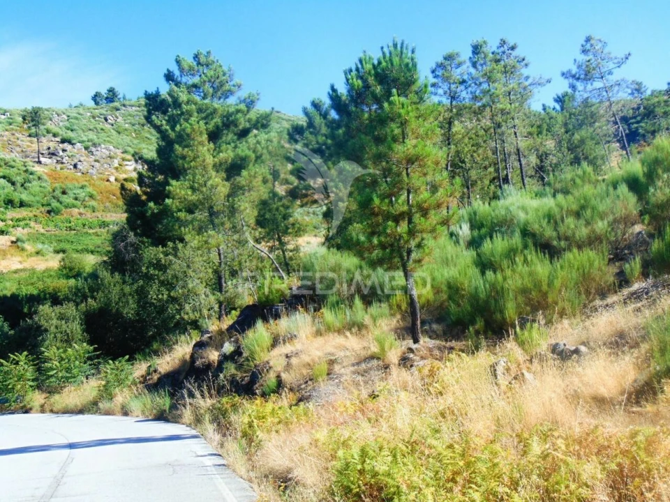 Terreno para Venda em Vilar de Maçada Foto 25