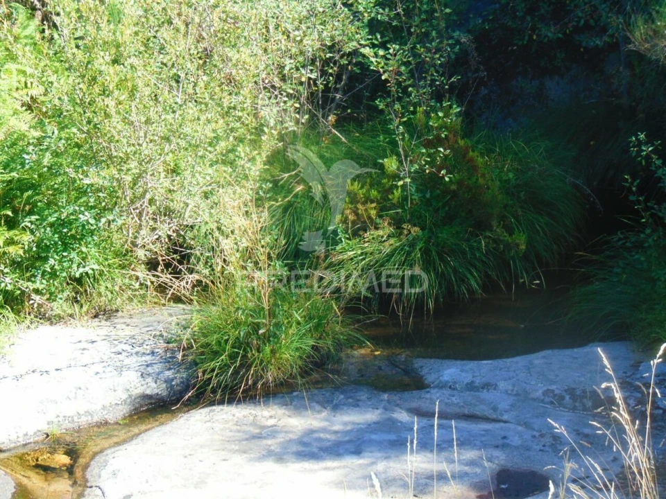 Terreno para Venda em Vilar de Maçada Foto 6