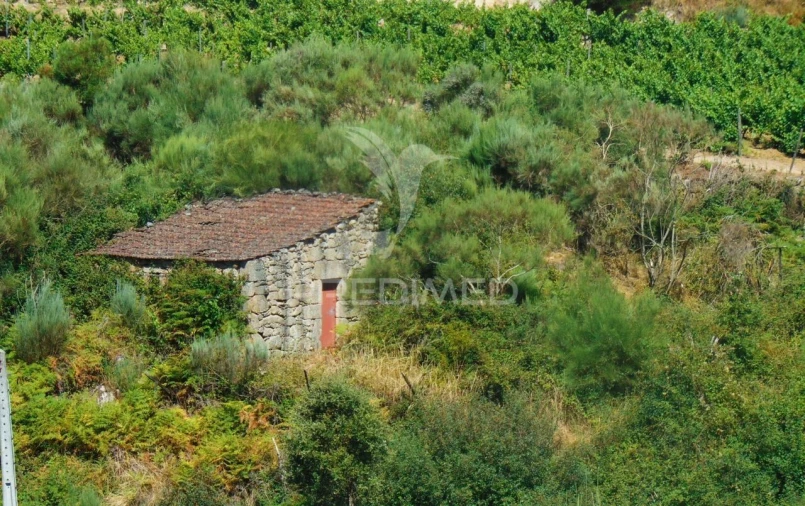 Terreno para Venda em Vilar de Maçada Foto 2