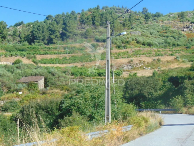 Terreno para Venda em Vilar de Maçada Foto 14