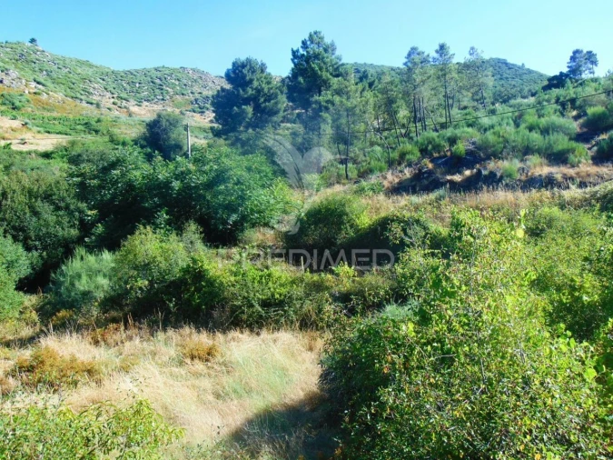 Terreno para Venda em Vilar de Maçada Foto 10