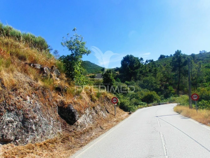 Terreno para Venda em Vilar de Maçada Foto 16