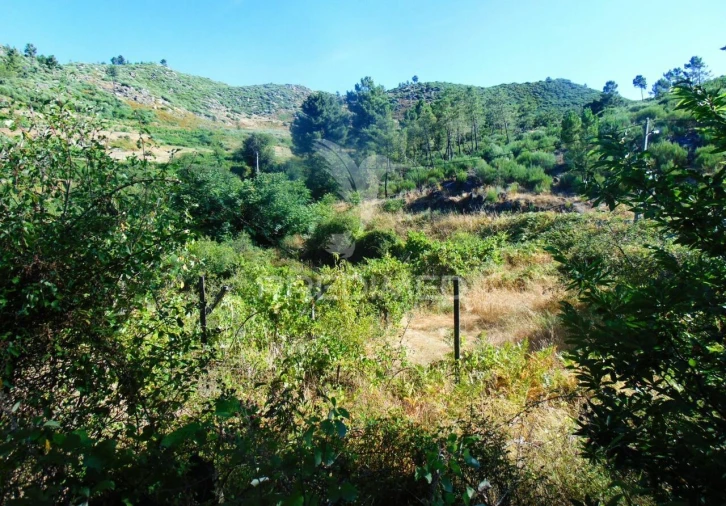 Terreno para Venda em Vilar de Maçada Foto 8
